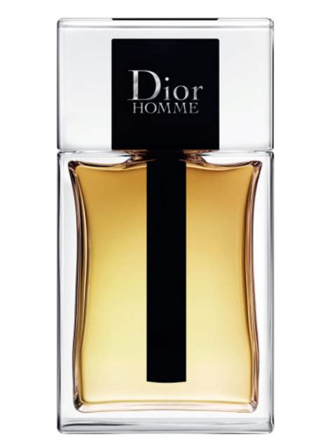 dior fragrances for him|Dior homme original vs 2020.